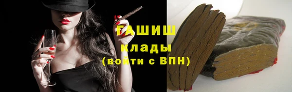 гидра Новозыбков
