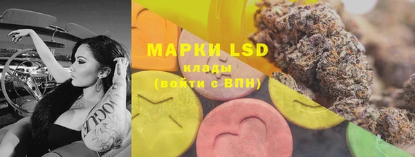 ECSTASY Новодвинск
