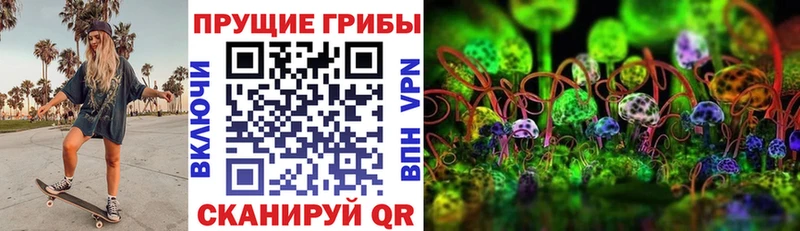 Псилоцибиновые грибы Psilocybe Хабаровск